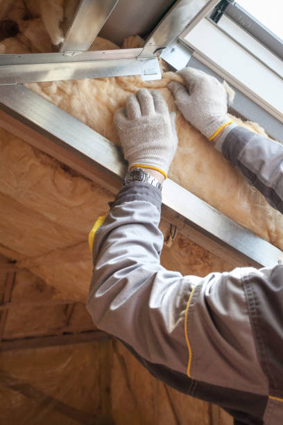 Best Best Insulation Companies  in Metamora, IL