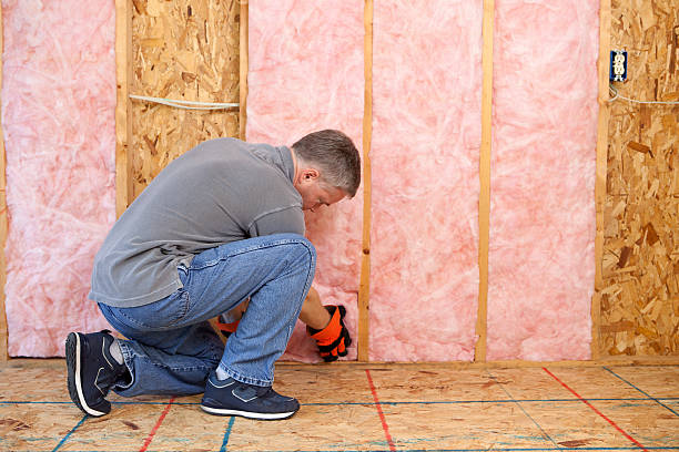 Best Energy-efficient Insulation  in Metamora, IL